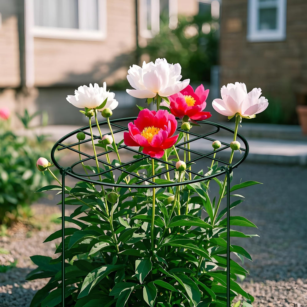 NNG Peony Cages packaging view