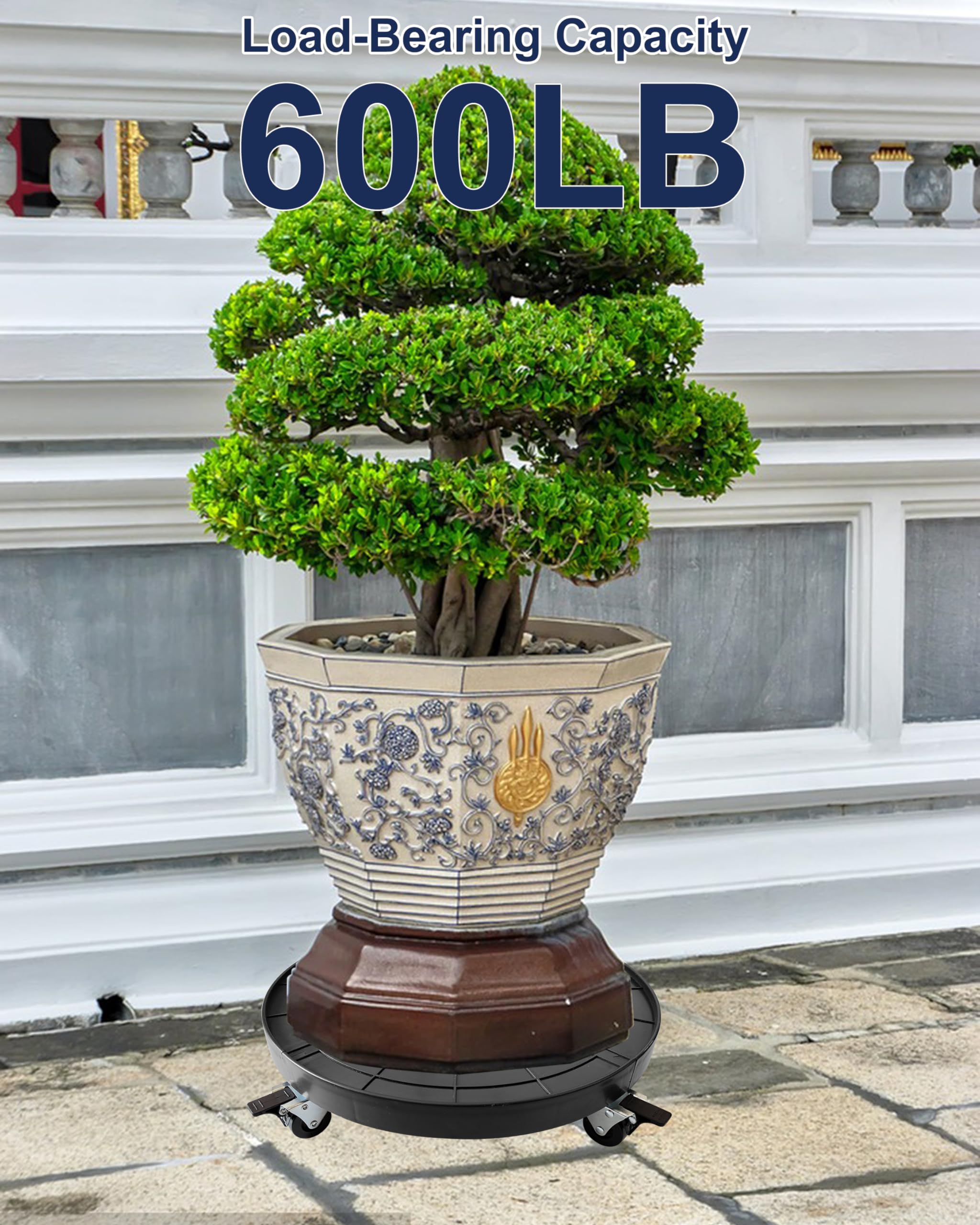 NOAMOO Plant Caddy with lockable swivel casters