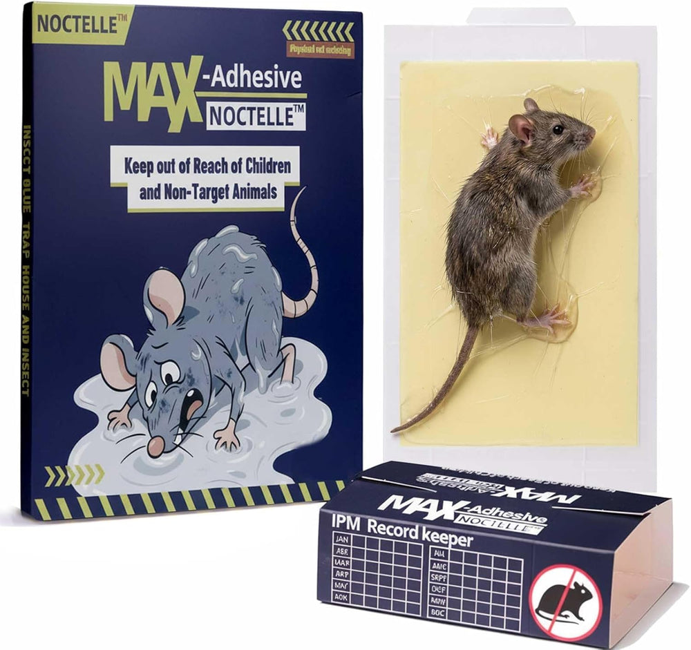 Noctelle 15 pack mouse glue traps front view