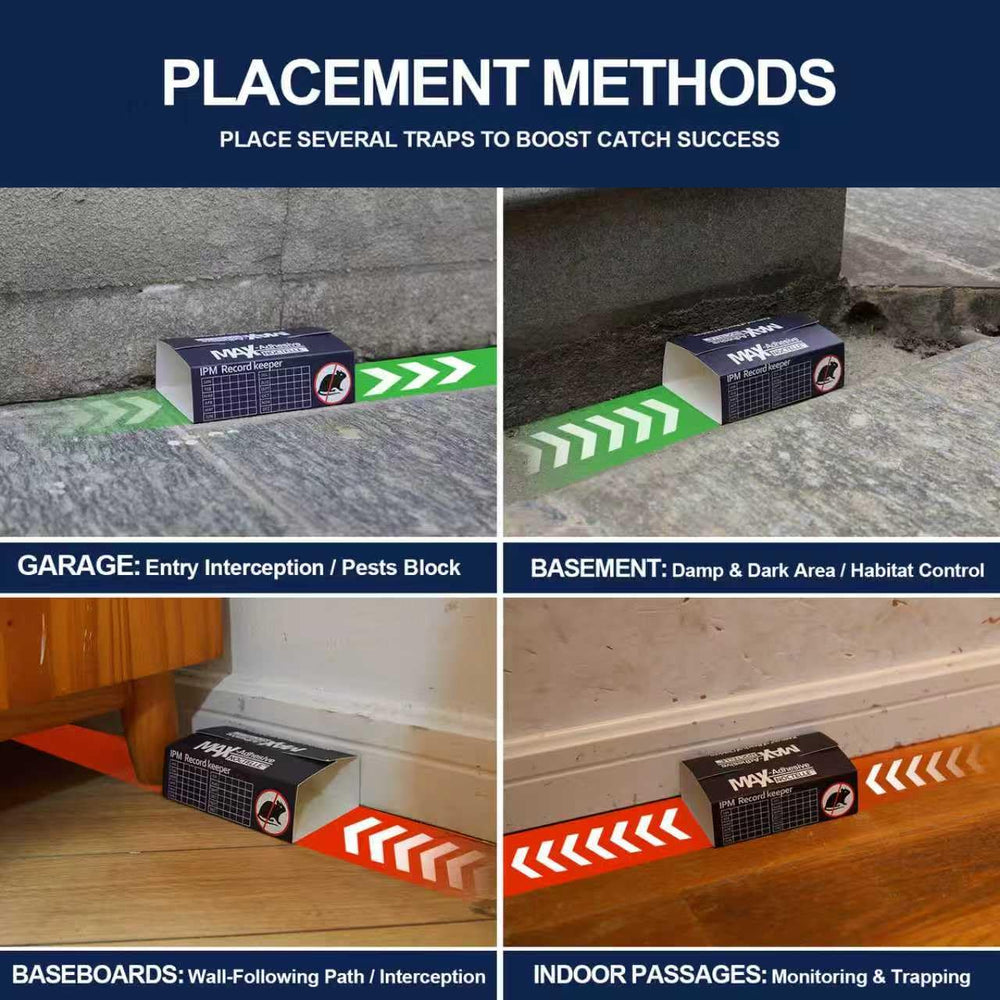 Noctelle glue traps displayed on a flat surface