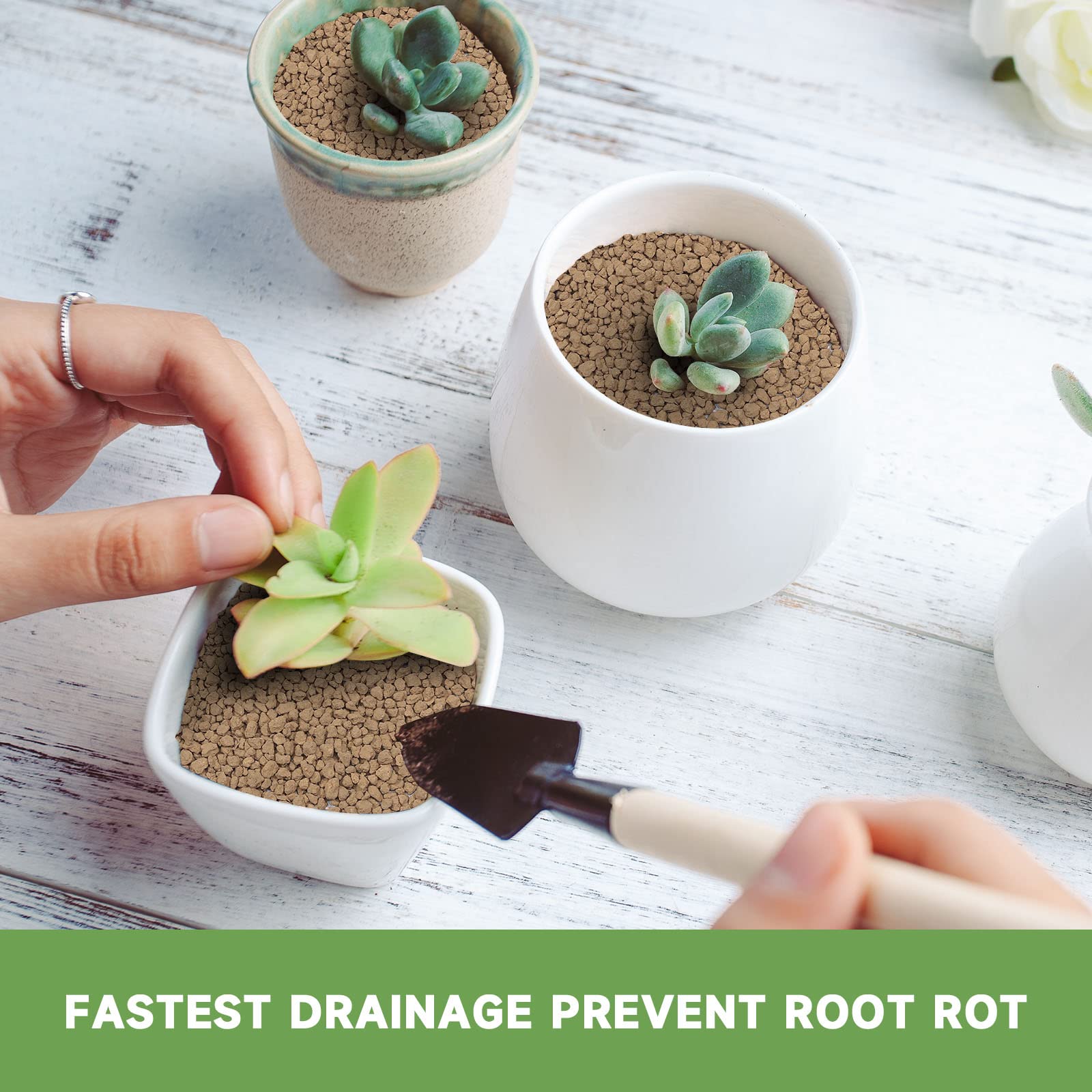 NOHOBE Akadama soil in a potted succulent arrangement