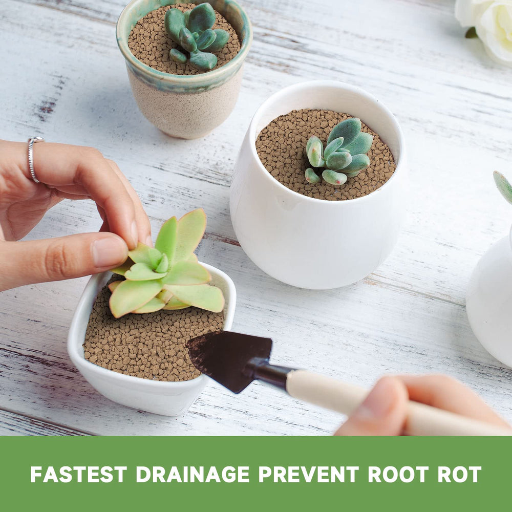 NOHOBE Akadama soil in a potted succulent arrangement