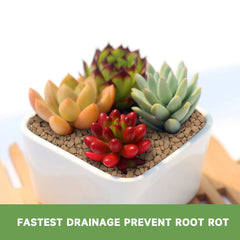 NOHOBE Bonsai soil packaging with dimensions
