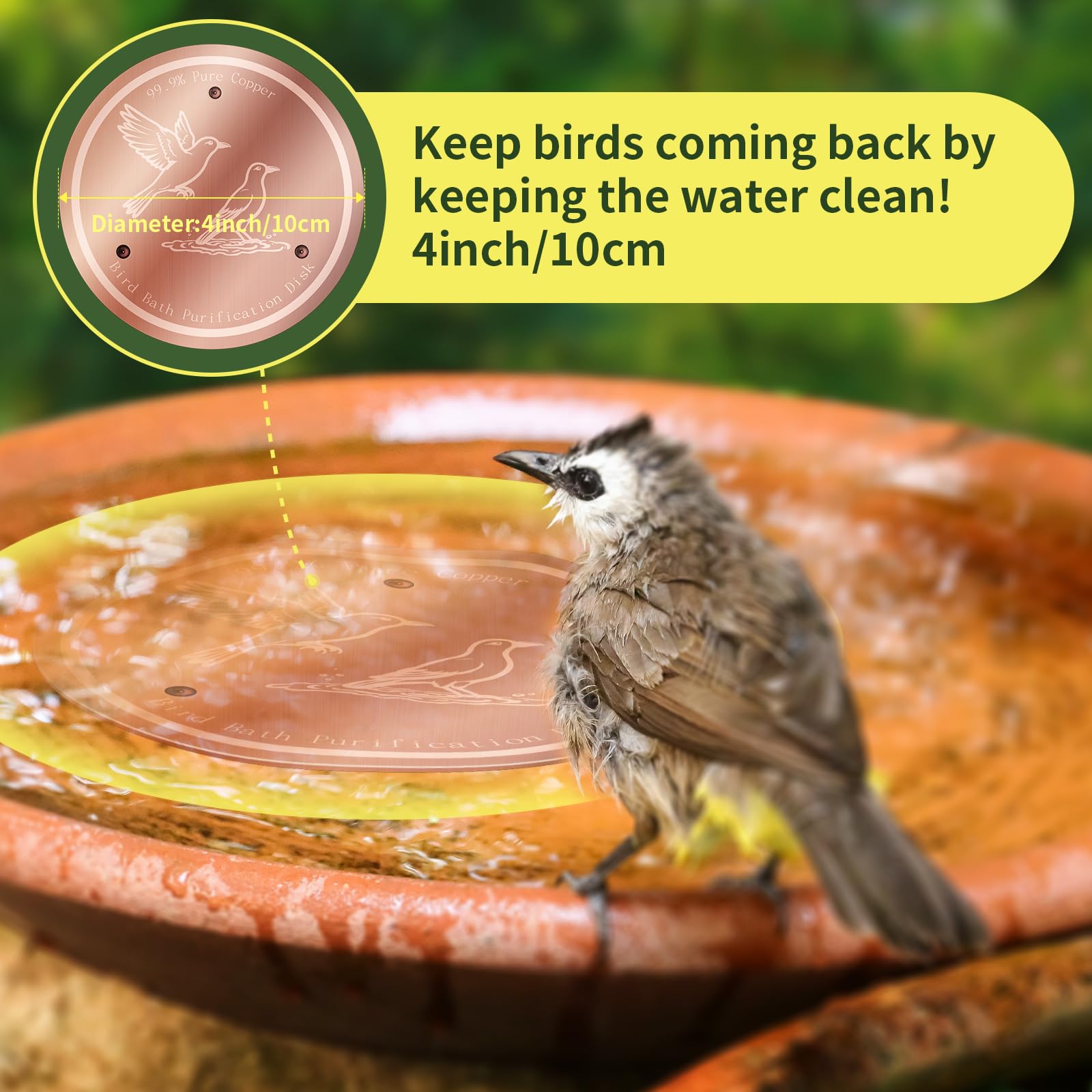 NOKOXIN Bird Bath Copper Disk showing patina-coated surface