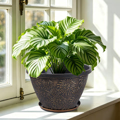 Nooulap 10 inch plant pot side view showcasing drainage holes