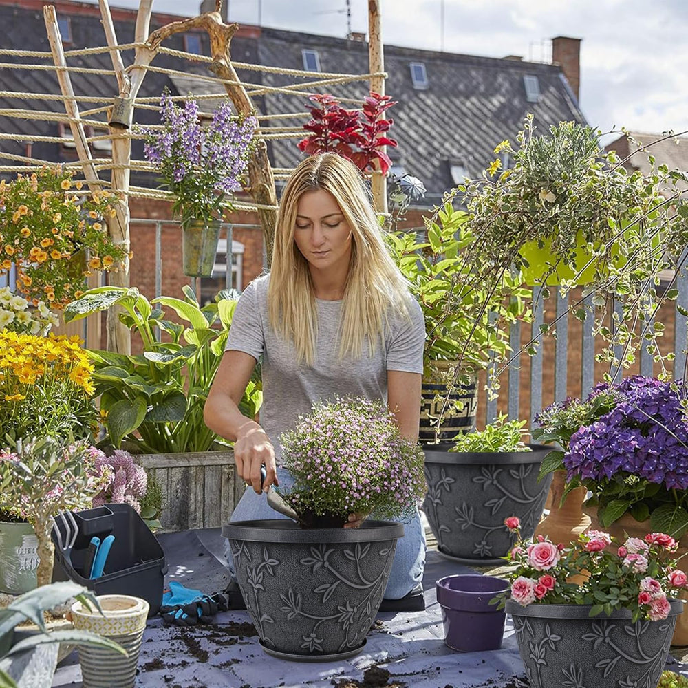Nooulap flower pots arranged on a patio with plants