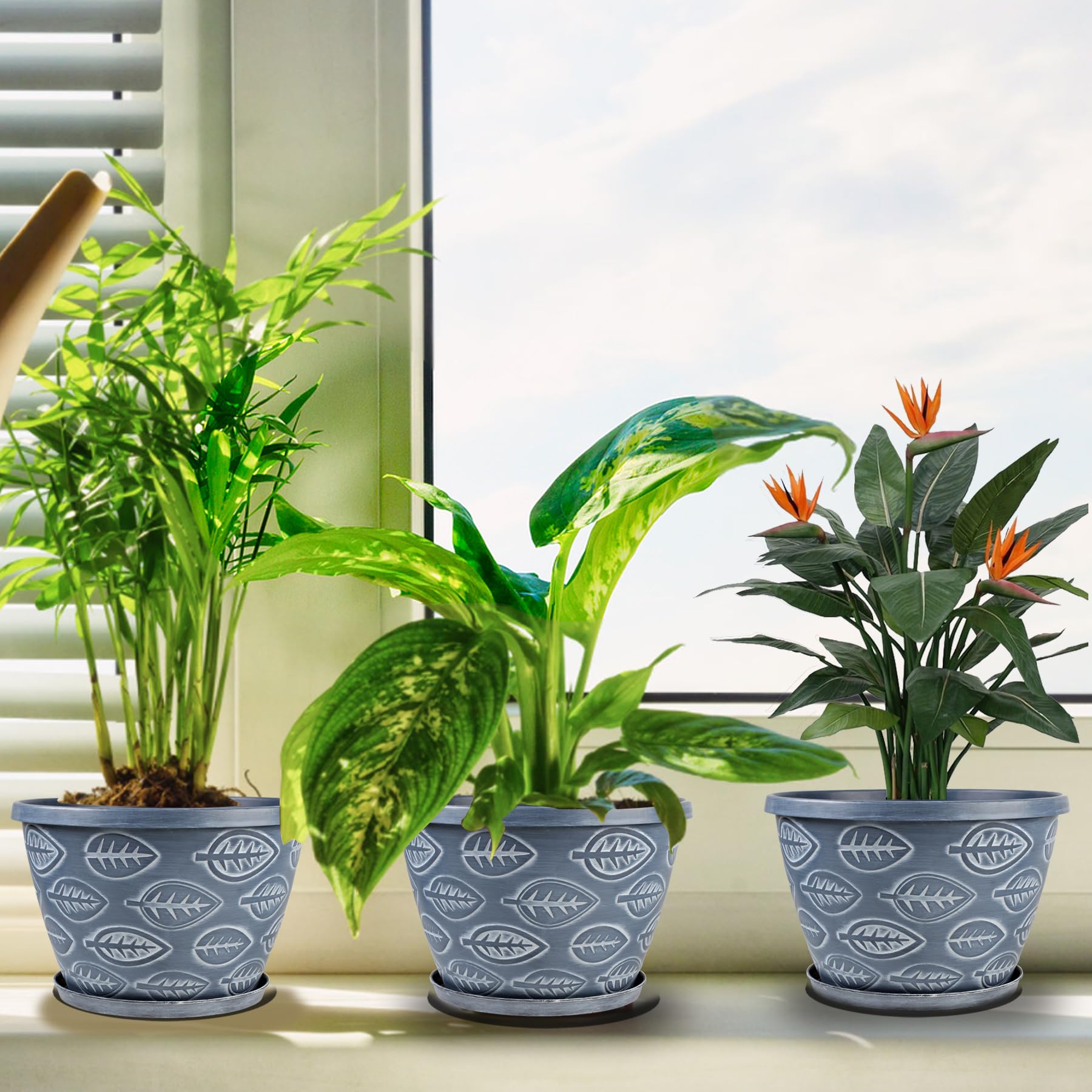 Nooulap flower pots displayed with plants