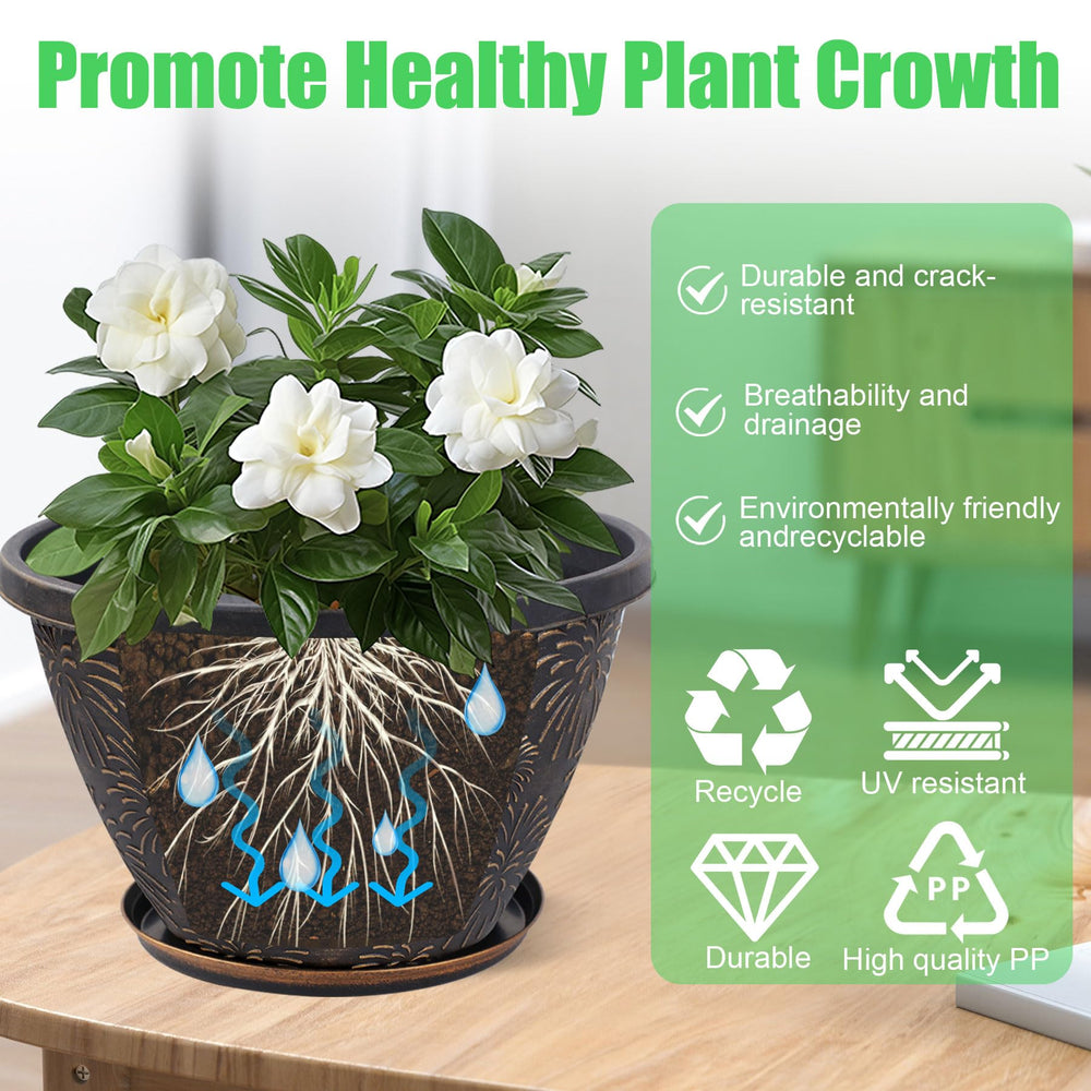 Nooulap plant pot with herbs growing inside