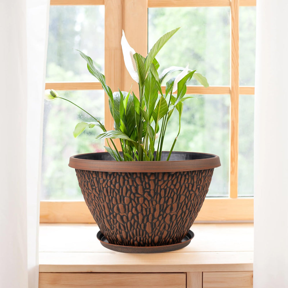 Nooulap plant pots arranged on a windowsill