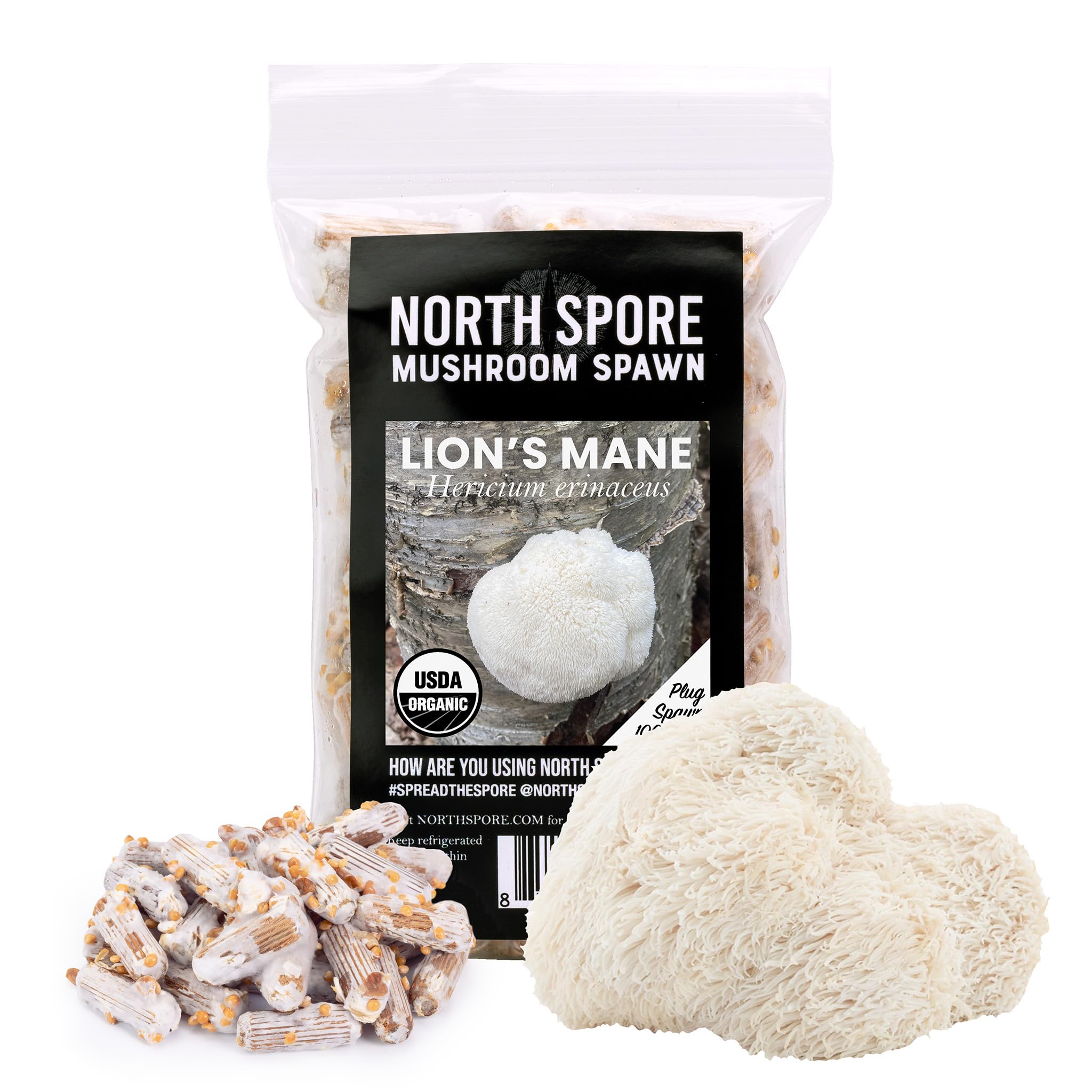 North Spore Lion's Mane Mushroom Plugs 100 count packaging