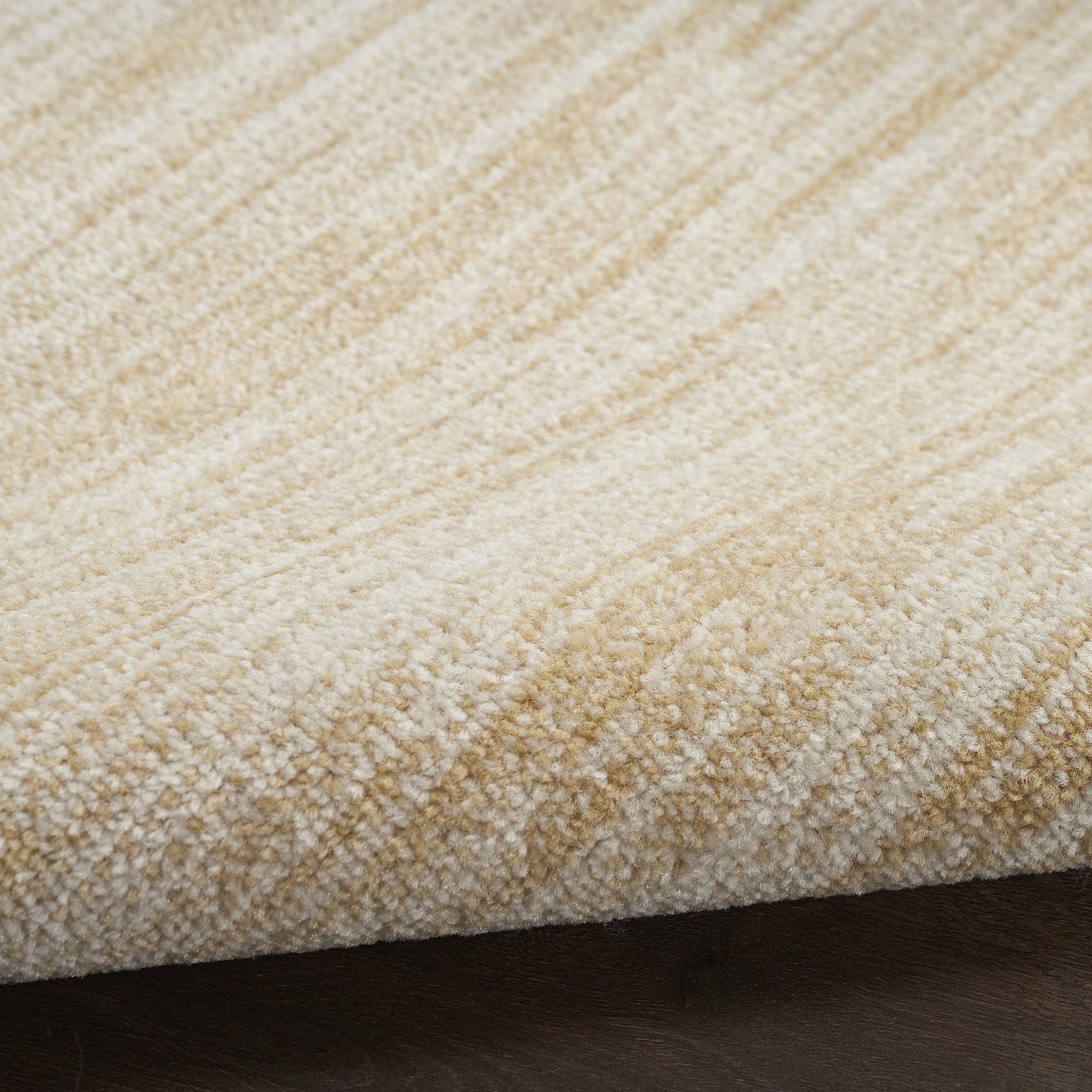 Nourison Area Rug in kitchen area