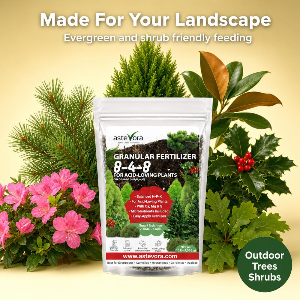 NPK ratio details on GARDENWISE Evergreen Fertilizer bag