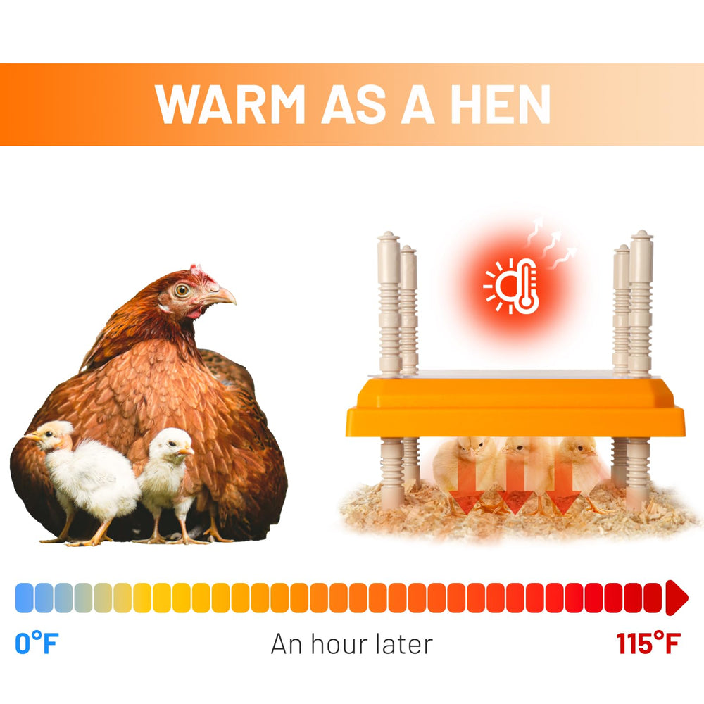 NUGRIART Brooder Heater in use with chicks