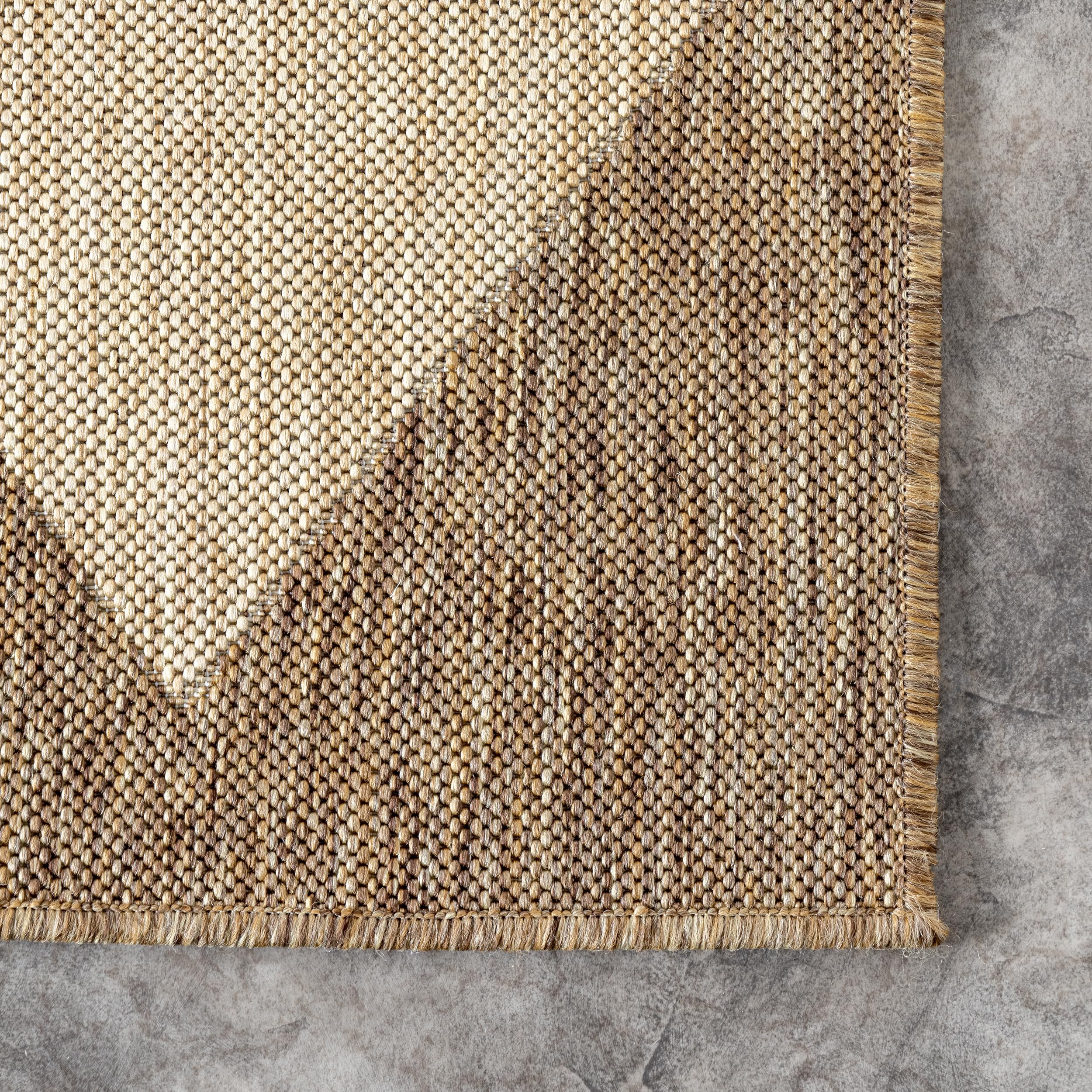 nuLOOM Sabina rug in a living room setting, showcasing indoor use