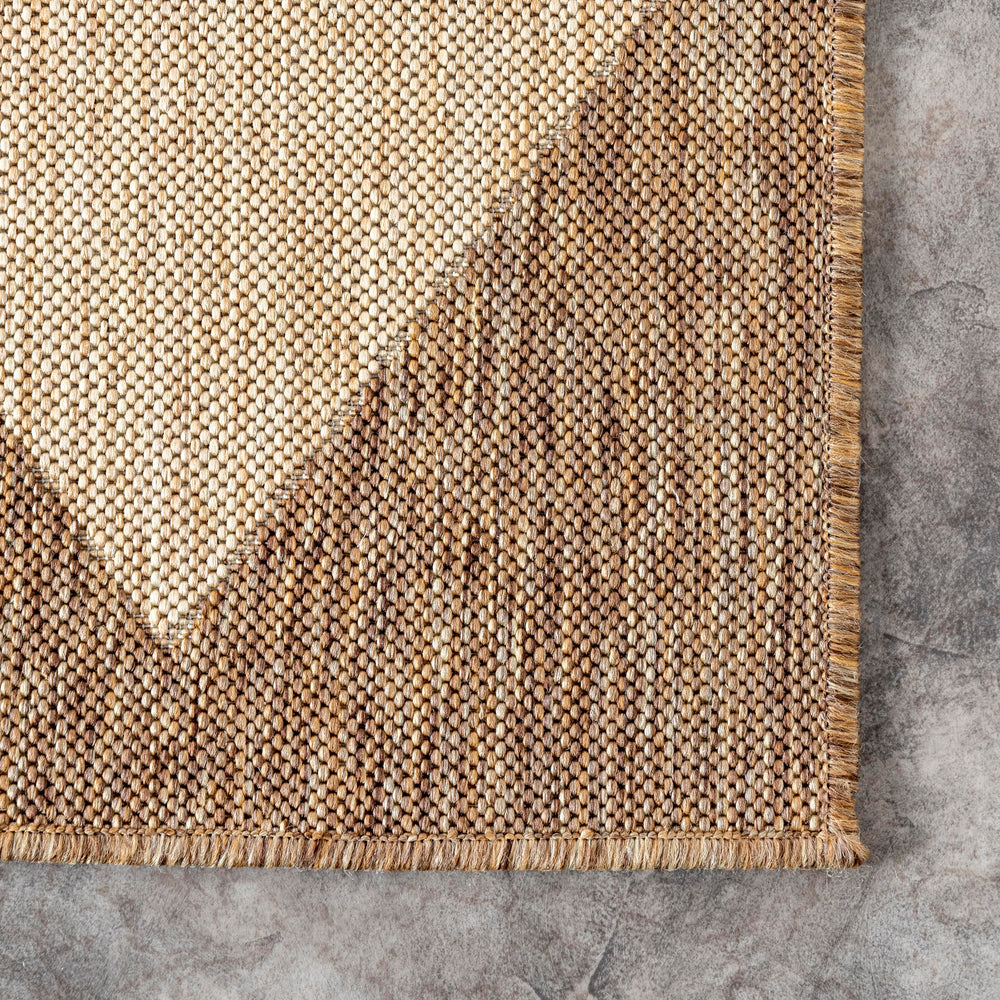nuLOOM Sabina rug in a living room setting, showcasing indoor use
