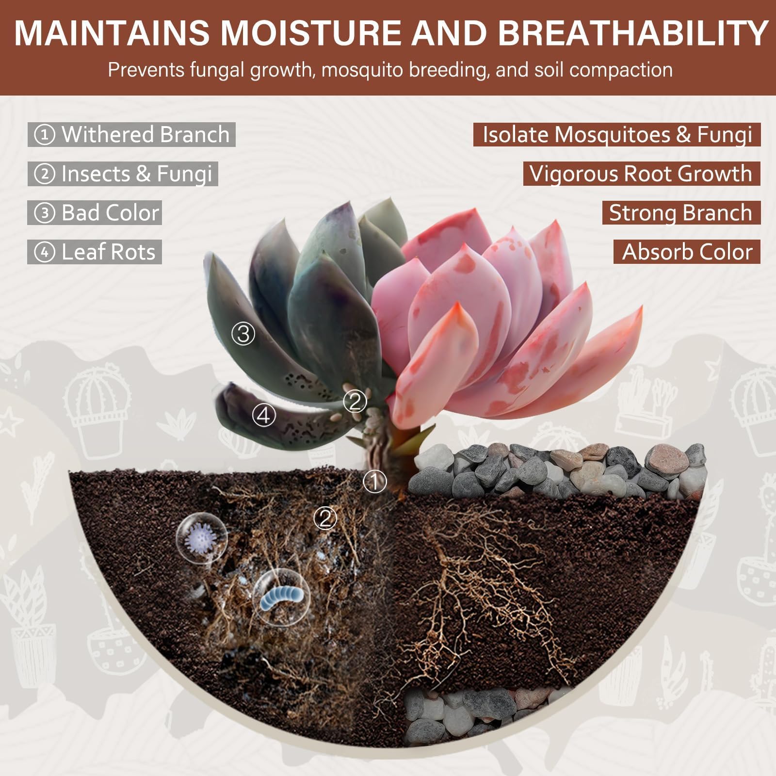 NUPICK decorative pebbles in a plant pot setting