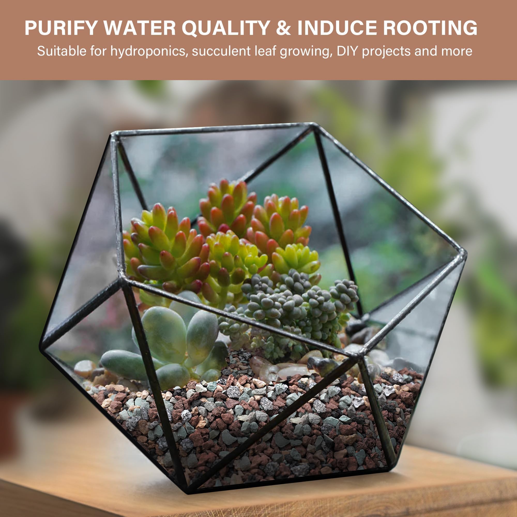 NUPICK Horticultural Lava Rocks used in a bonsai pot