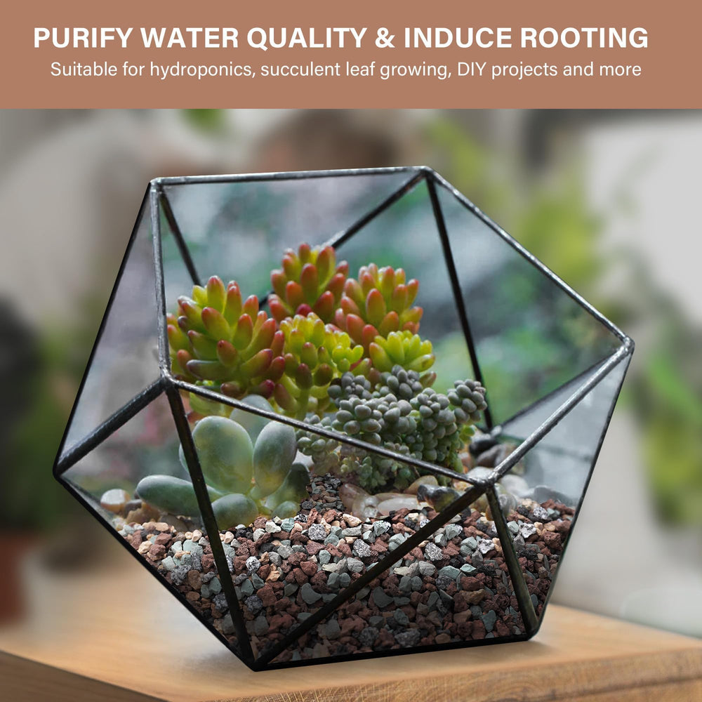 NUPICK Horticultural Lava Rocks used in a bonsai pot