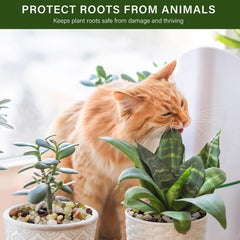NUPICK pebbles placed on top of potted plants