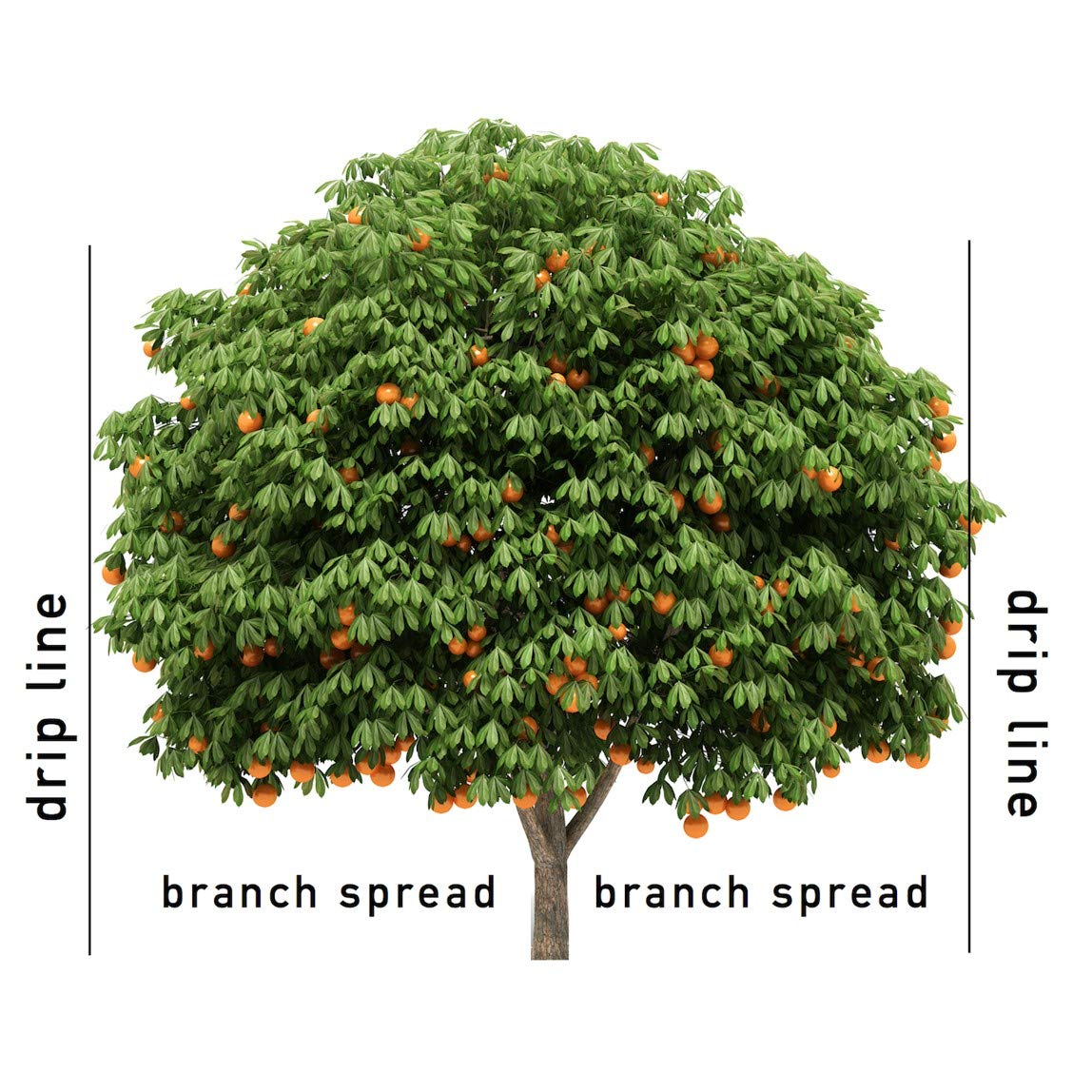 Nutrient composition of Jobe's Fertilizer Spikes displayed