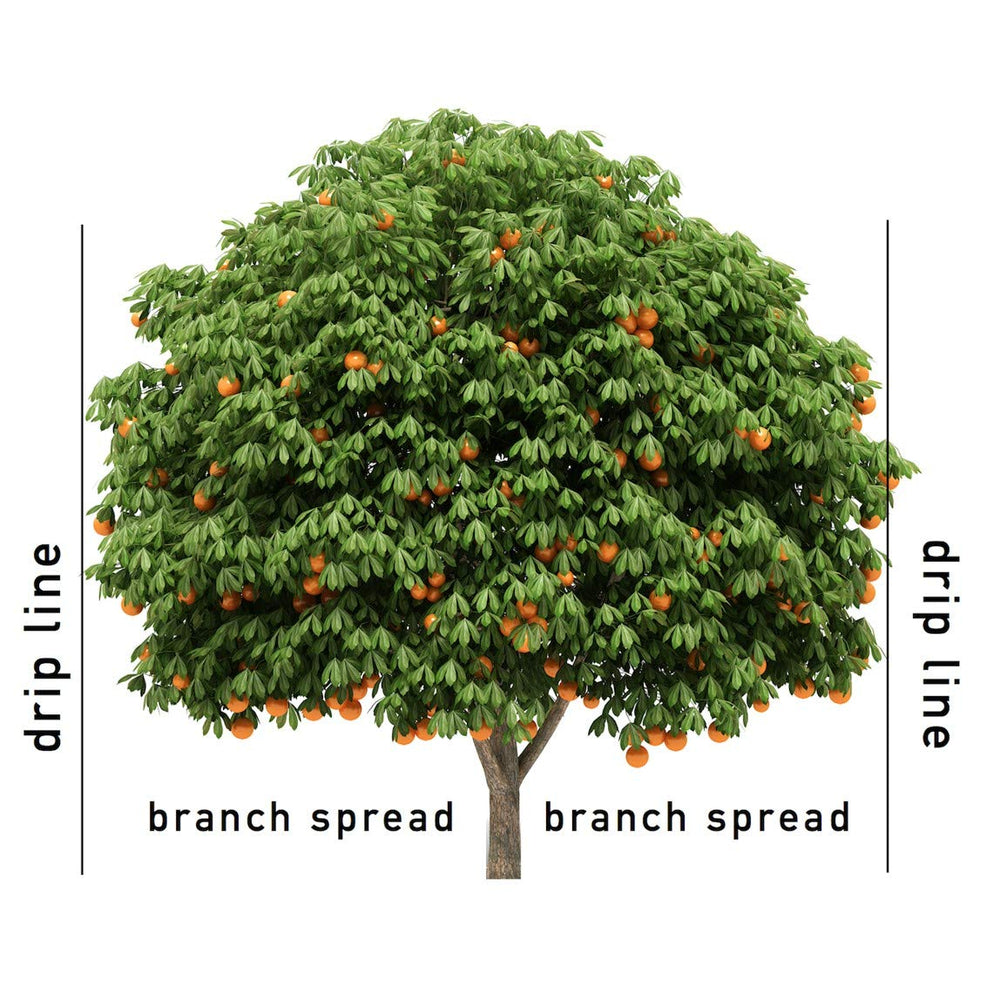 Nutrient composition of Jobe's Fertilizer Spikes displayed