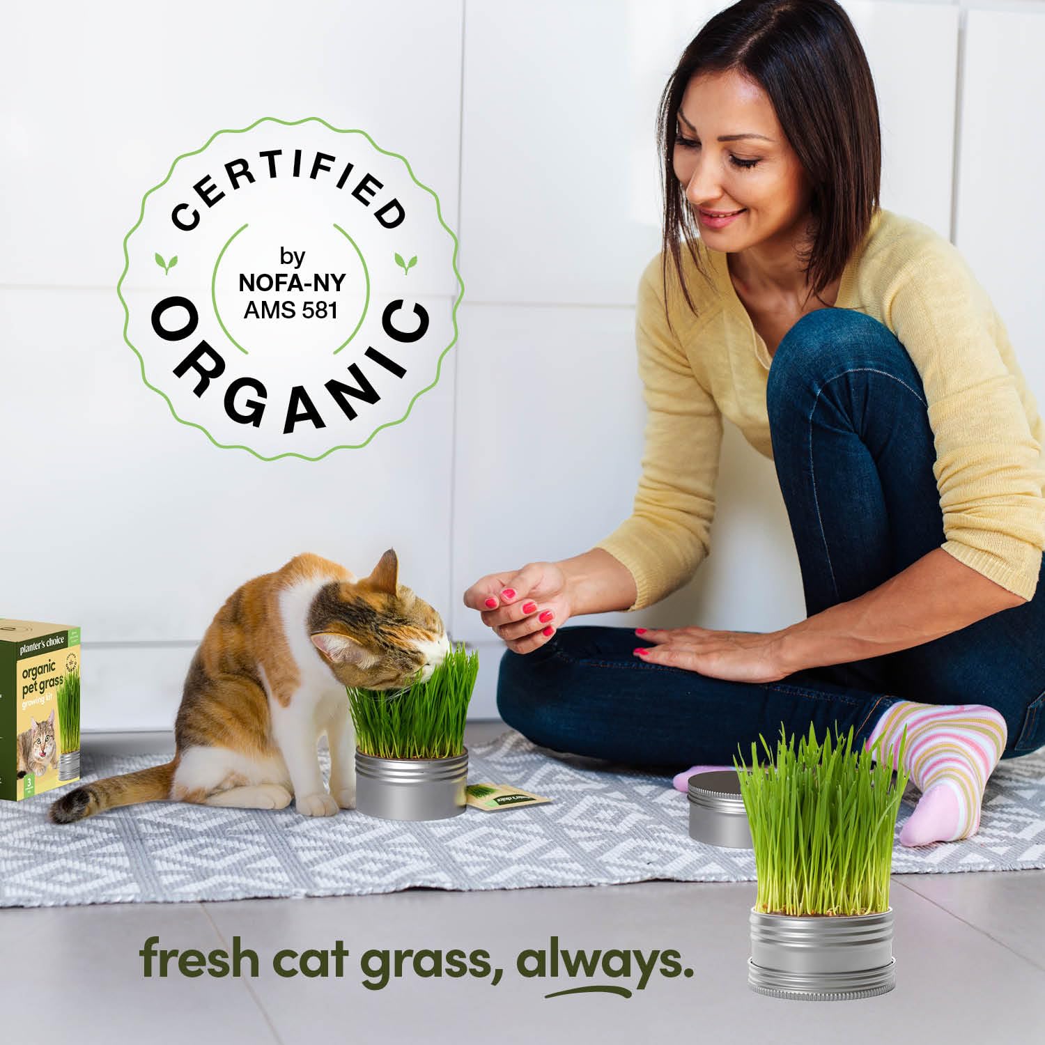 Nutrient-rich soil discs from the Planters' Choice Cat Grass Kit
