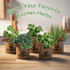 Nutrient-rich soil disks for herb planting