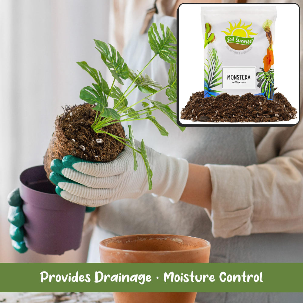 Nutrient-rich Soil Sunrise Monstera Potting Soil close-up