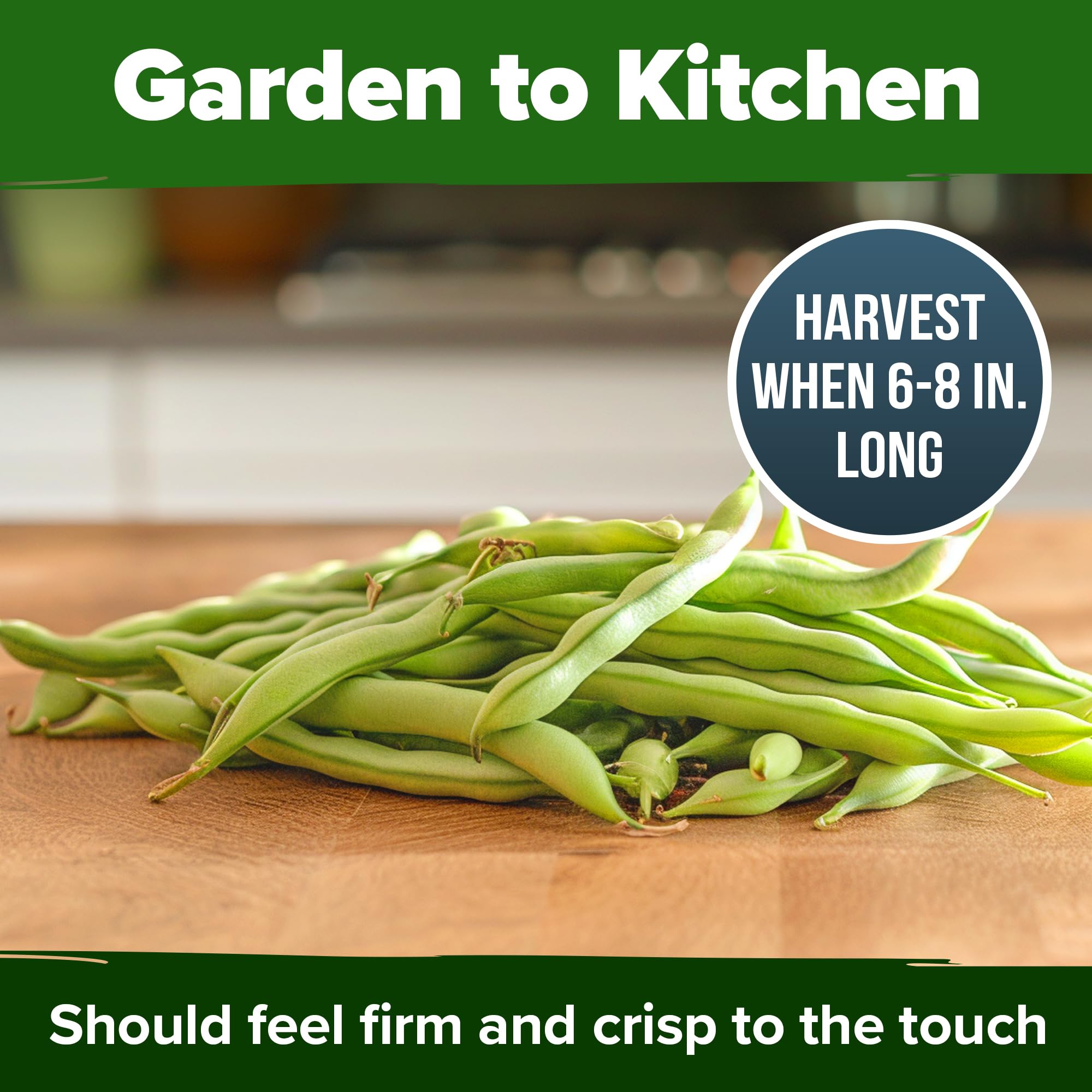 Nutritional information of Contender Bush Beans