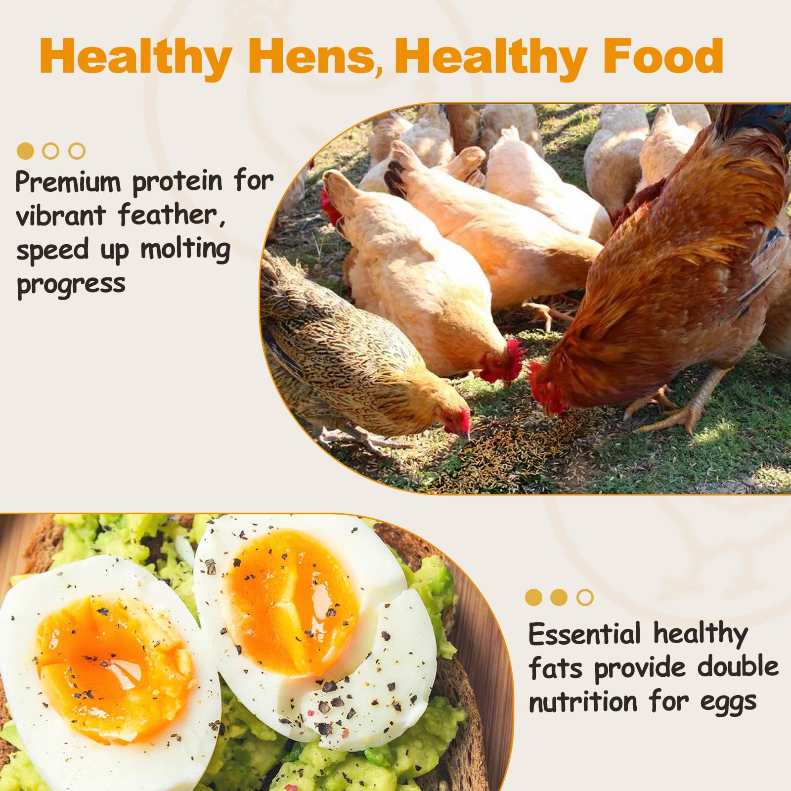 Nutritional information of HATORTOP Dried Mealworms
