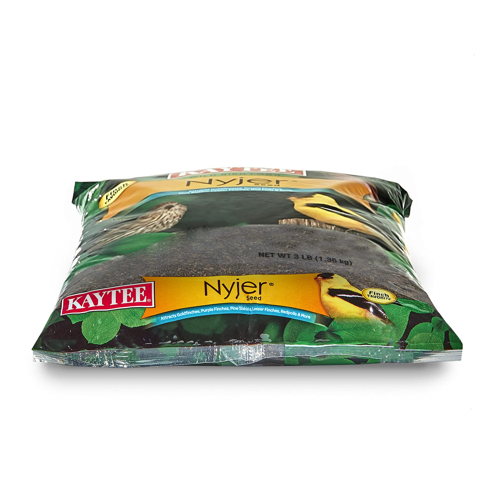 Nutritious Kaytee Nyjer Seed in garden setting