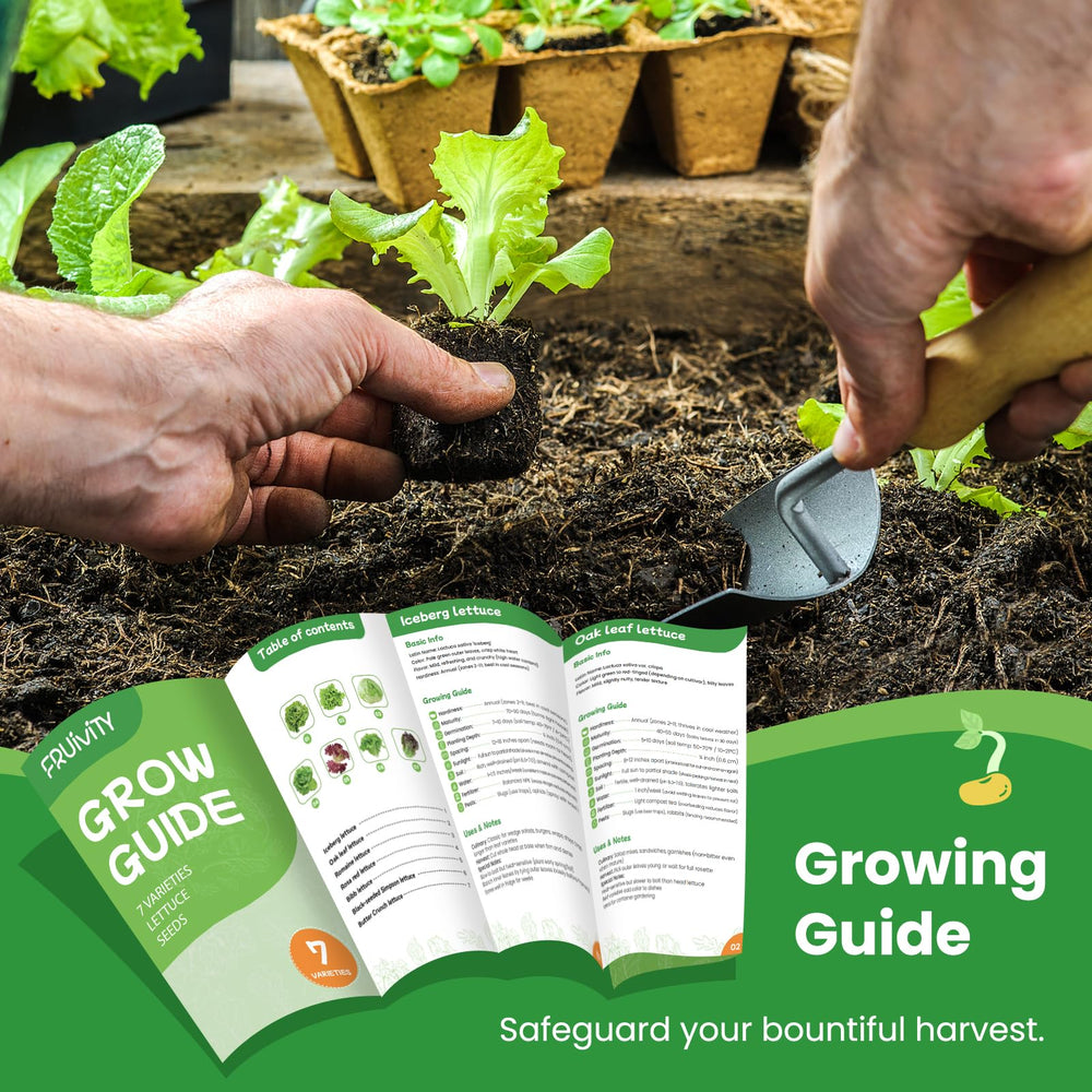 Oak Leaf lettuce seeds overview in Fruivity pack