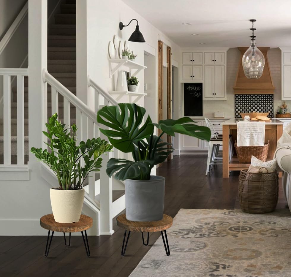 OBTAIN plant stand displaying potted plants outdoor