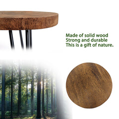 OBTAIN plant stand in a living room setting with plants