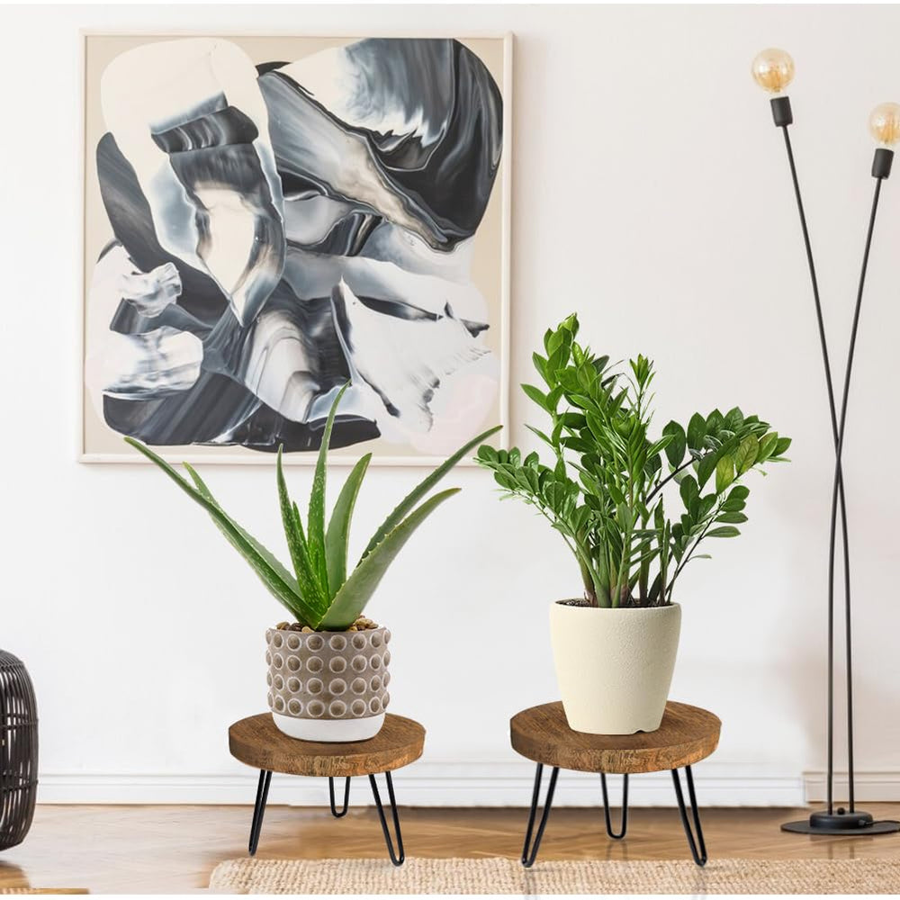 OBTAIN plant stand showing natural wood texture