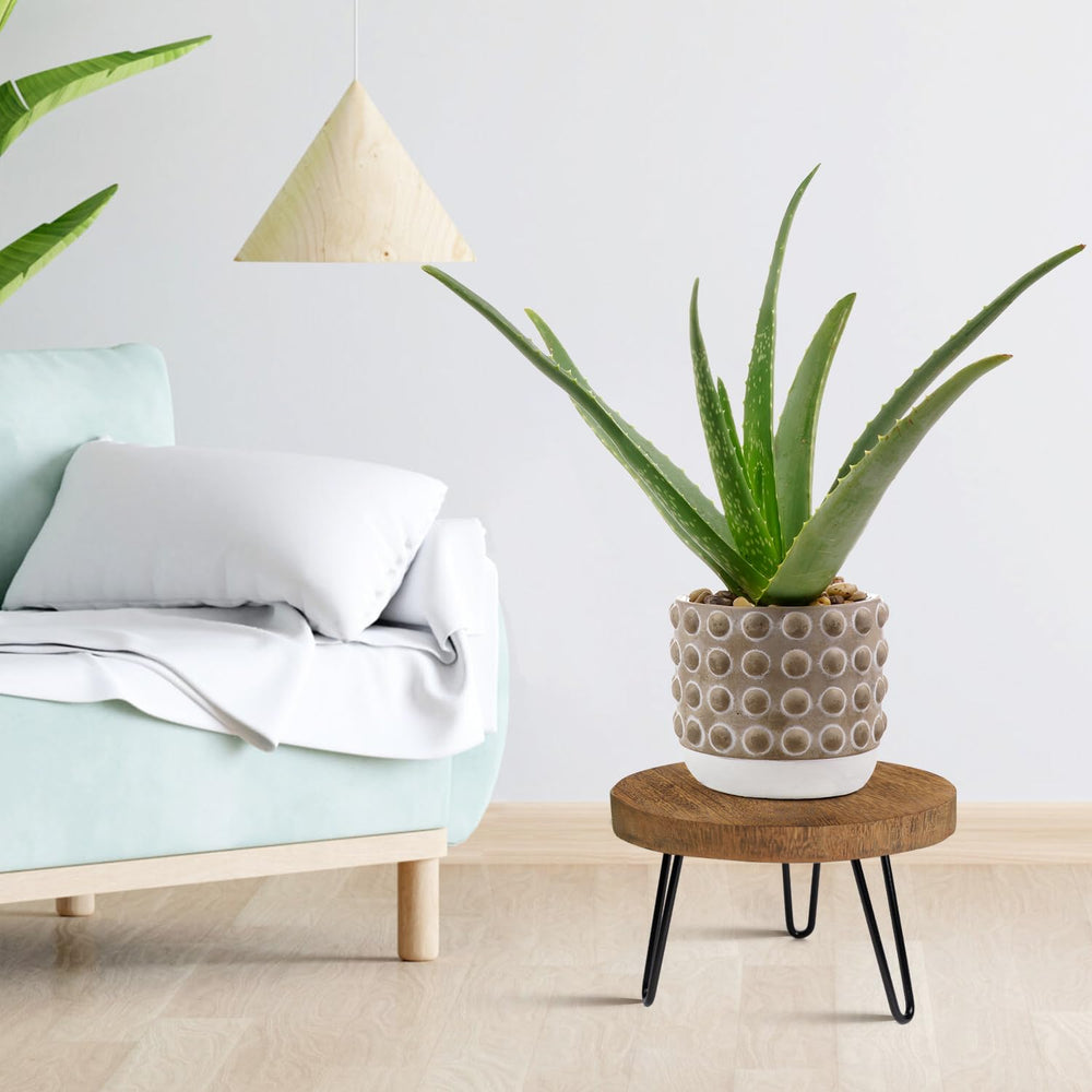 OBTAIN plant stand side view showcasing metal legs