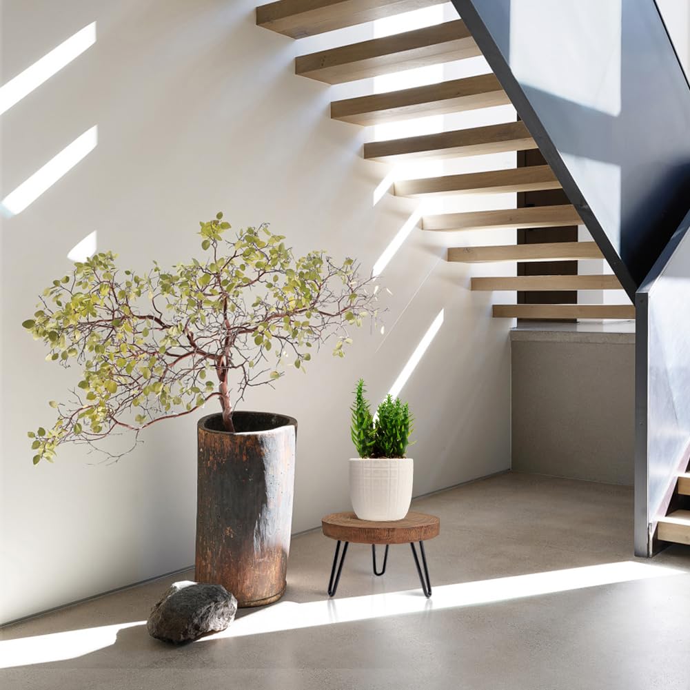 OBTAIN wooden plant stand suitable for outdoor use