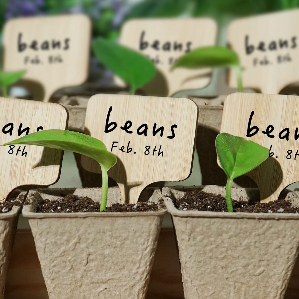 OBTANIM bamboo plant labels in various planting scenarios