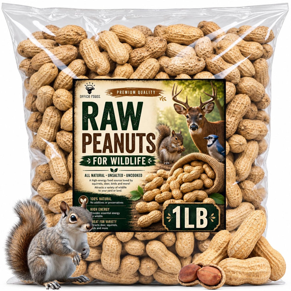 Office Roast Raw Peanuts in Shell 1 lb bag front view