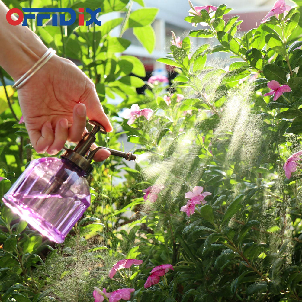 OFFIDIX Glass Plant Mister purple colour against white background