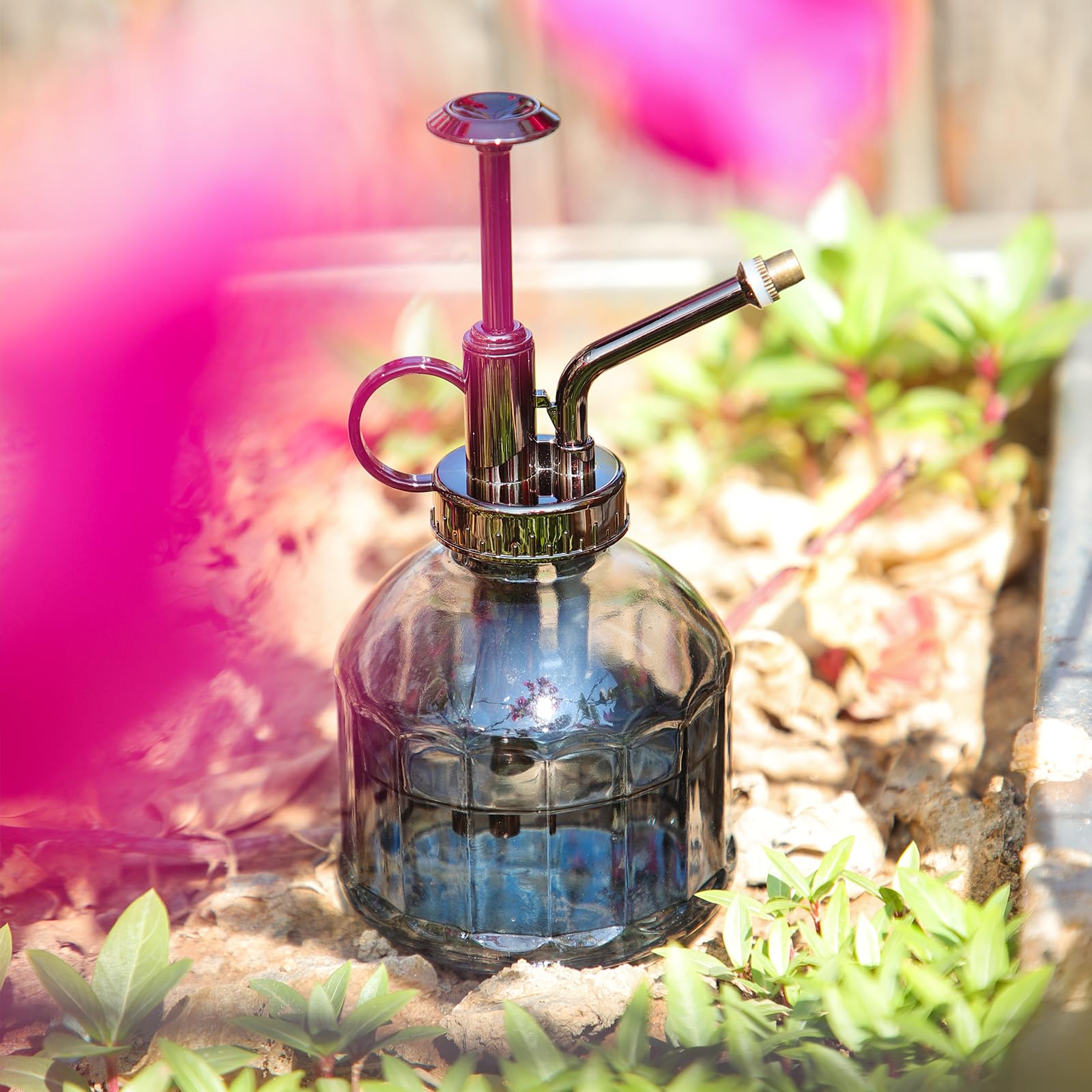 OFFIDIX Glass Plant Spray Bottle E-Grey on plant stand
