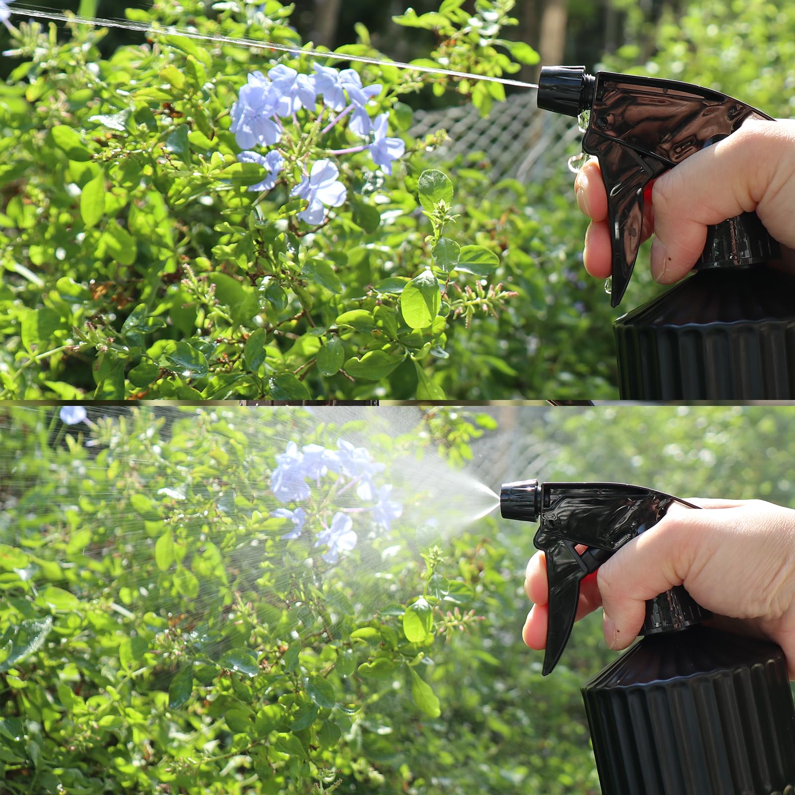 OFFIDIX Glass Spray Bottle in use watering indoor plants