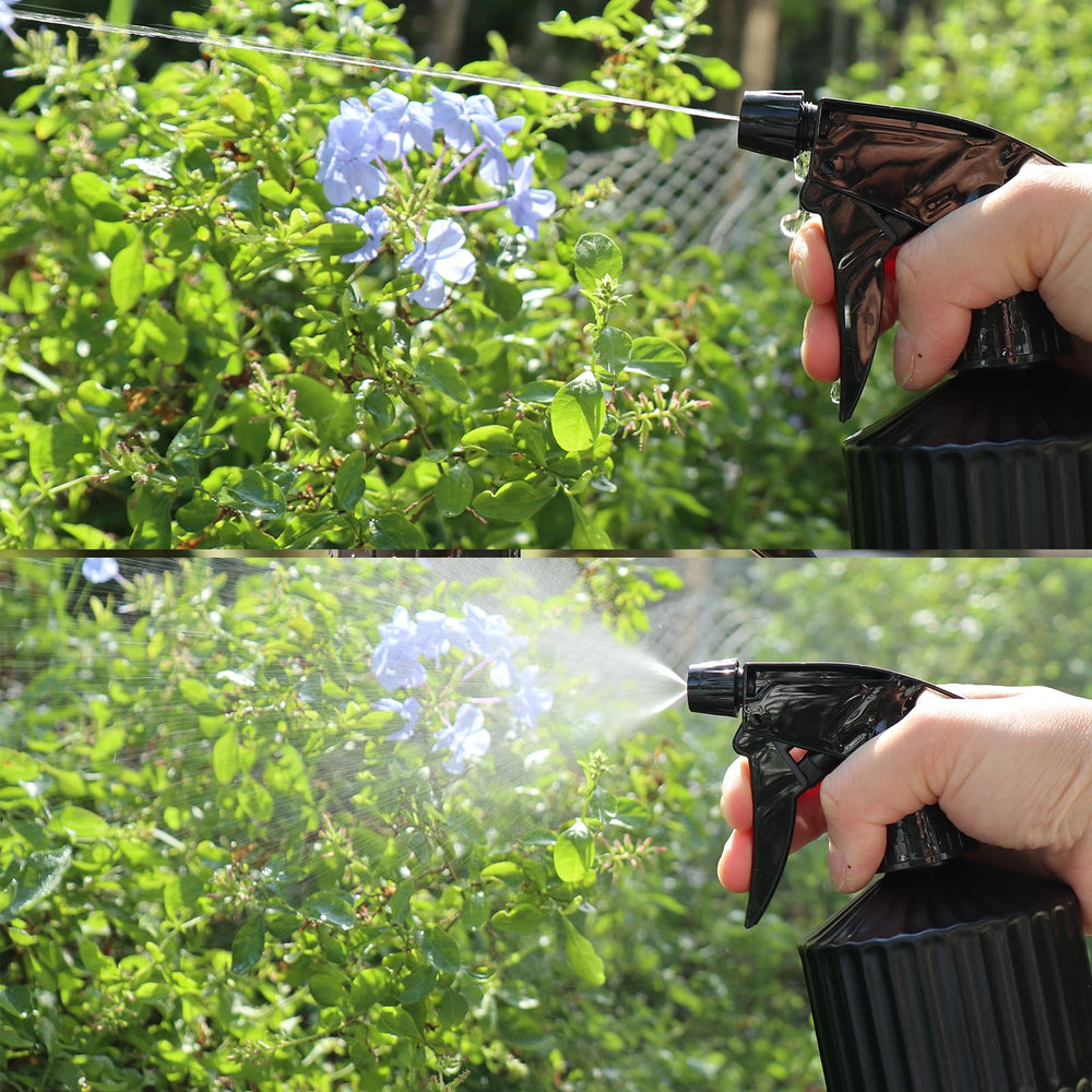 OFFIDIX Glass Spray Bottle in use watering indoor plants