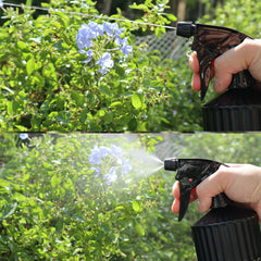 OFFIDIX Glass Spray Bottle in use watering indoor plants