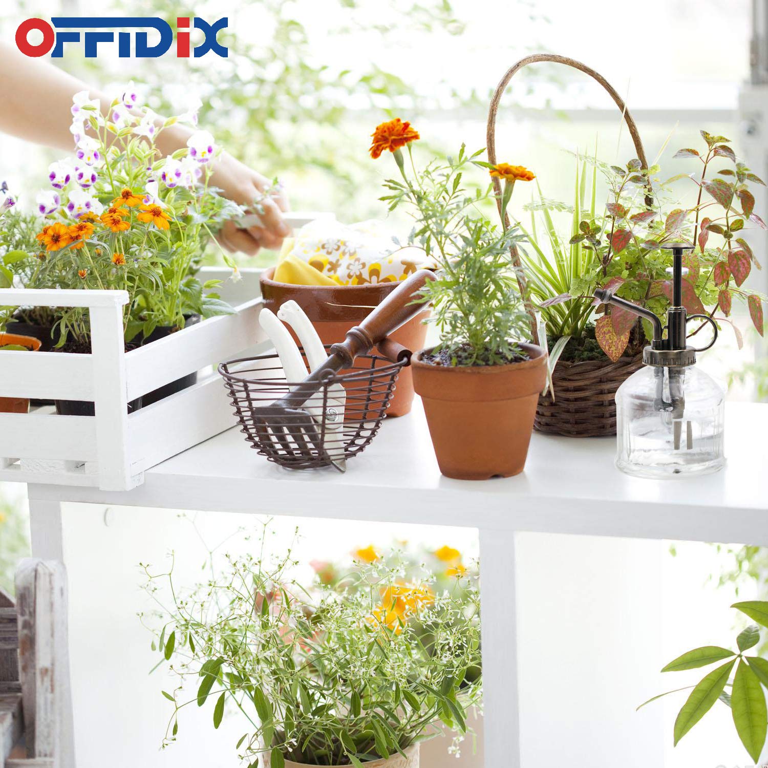 OFFIDIX Transparent Mister with finger holder