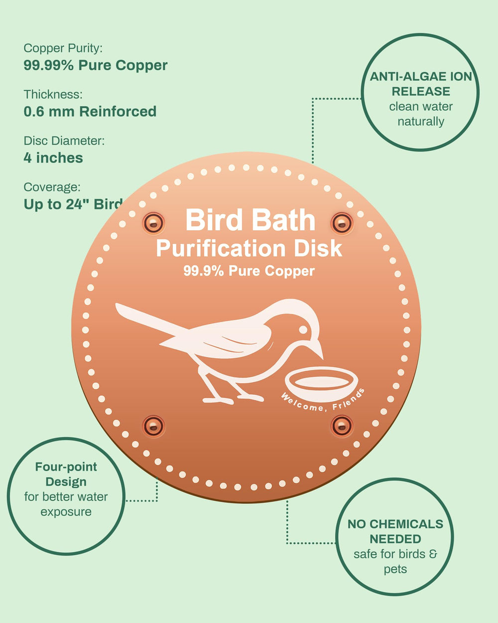 OICEME Bird Bath Disk in a sunny outdoor setting