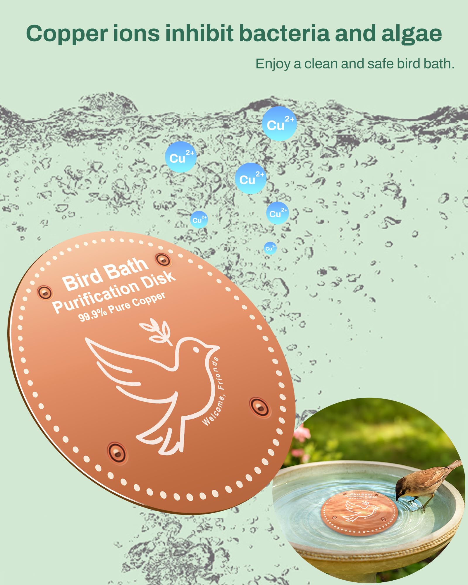 OICEME Bird Bath Purification Disc in a bird bath, outdoor setting