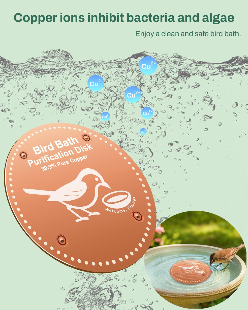 OICEME Bird Bath Purification Disc in a birdbath, outdoor setting