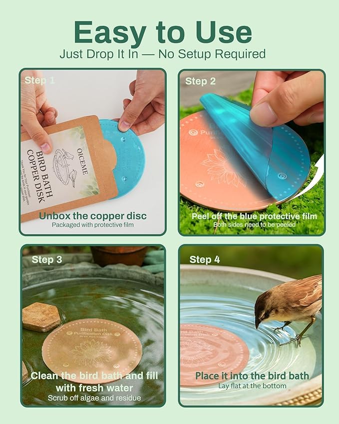OICEME Bird Bath Purification Disk alongside sunflower decorations