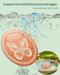 OICEME Bird Bath Purification Disk gold side view